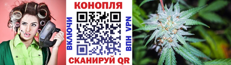 Где продают наркотики Элиста Альфа ПВП  Гашиш  АМФЕТАМИН  Cocaine 