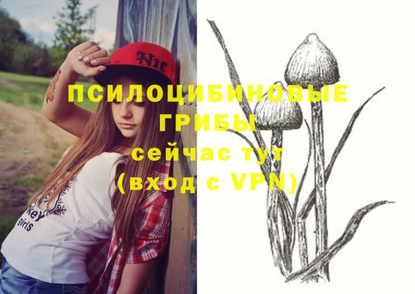 мяу мяу кристалл Горно-Алтайск