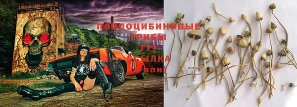 скорость mdpv Горнозаводск